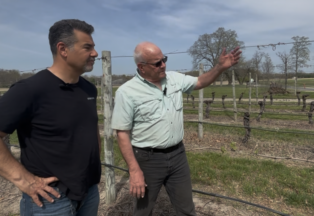 A Year of Discovering New Jersey Wine: Reflections, Favorites & What’s Next